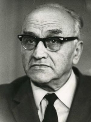Дмитрий Ровнер 