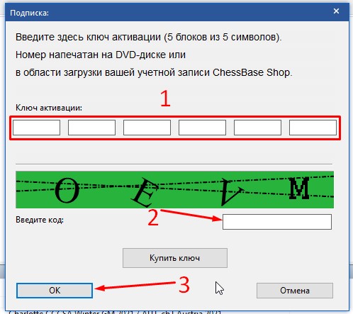 Вводим ключ для подписки