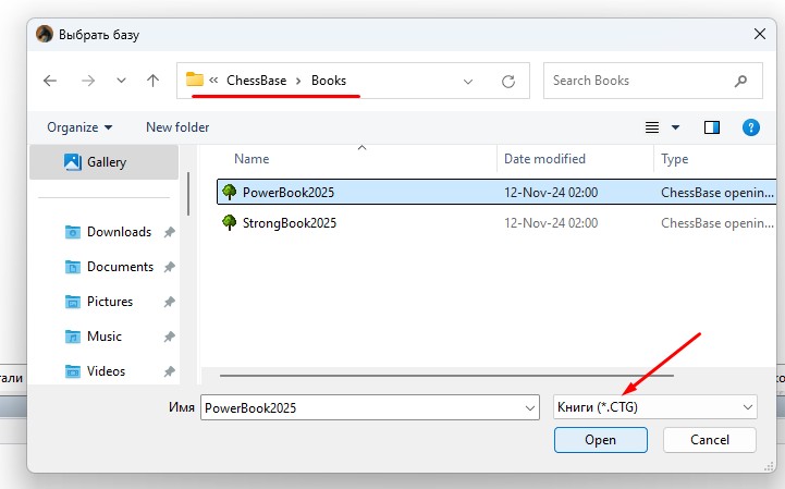 open-choosen-book.jpg