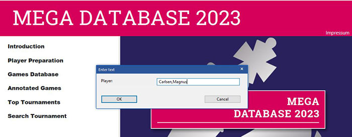 Mega_2023_3.JPG