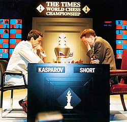 Матч за звание чемпиона мира 1993 (по версии ПША)